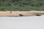 safrica_dec_13_image55.jpg